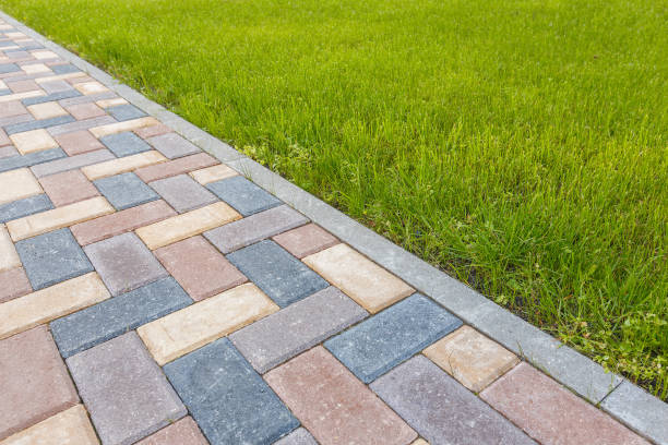 Best Driveway Paving Contractor  in Fort Valley, AZ